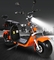 EEC Cocのヨーロッパの電気スクーター120kgの長期都市ココヤシの脂肪質のタイヤのスクーター