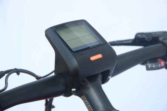 pm80144675 350w portable folding electric bike hub motor e bike with removable battery 36v 10ah