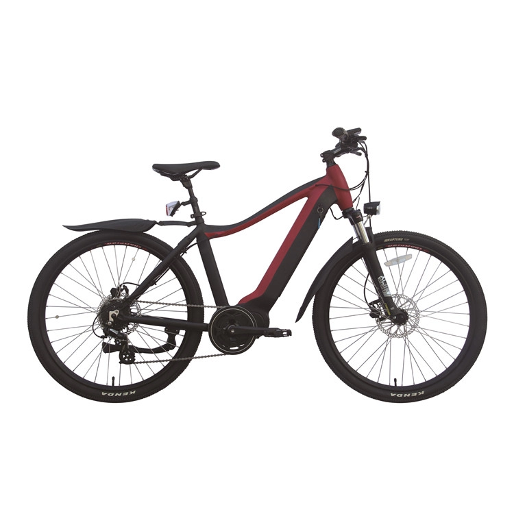 pl80143056 12 inch exercise portable electric bike 48v battery 400 lb capacity 20km h