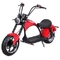 大人の道法的40 50 55 MPHの大人の電気モーターバイクのための小さい電気スクーターのオートバイ