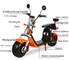 雑種の大人の電気モペットのオートバイのスクーターによってモーターを備えられるバイクのモペット