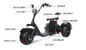 3つの車輪の電気Trikeの移動性のスクーターのバイクの法的脂肪質のタイヤの通り