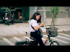 250 ワット低コスト 48 ボルト lcd ディスプレイ市電動ダートバイク eu 20 インチ 36 ボルト電動自転車