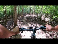 250 ワット 750 ワットファットタイヤハブモーター英国倉庫電動自転車 29 中国