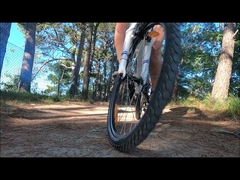 ロータール・ライクトリーチ eu 倉庫高品質電動自転車価格低 36v バッテリー電動自転車